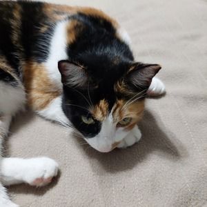 Meet your Posher, Ella